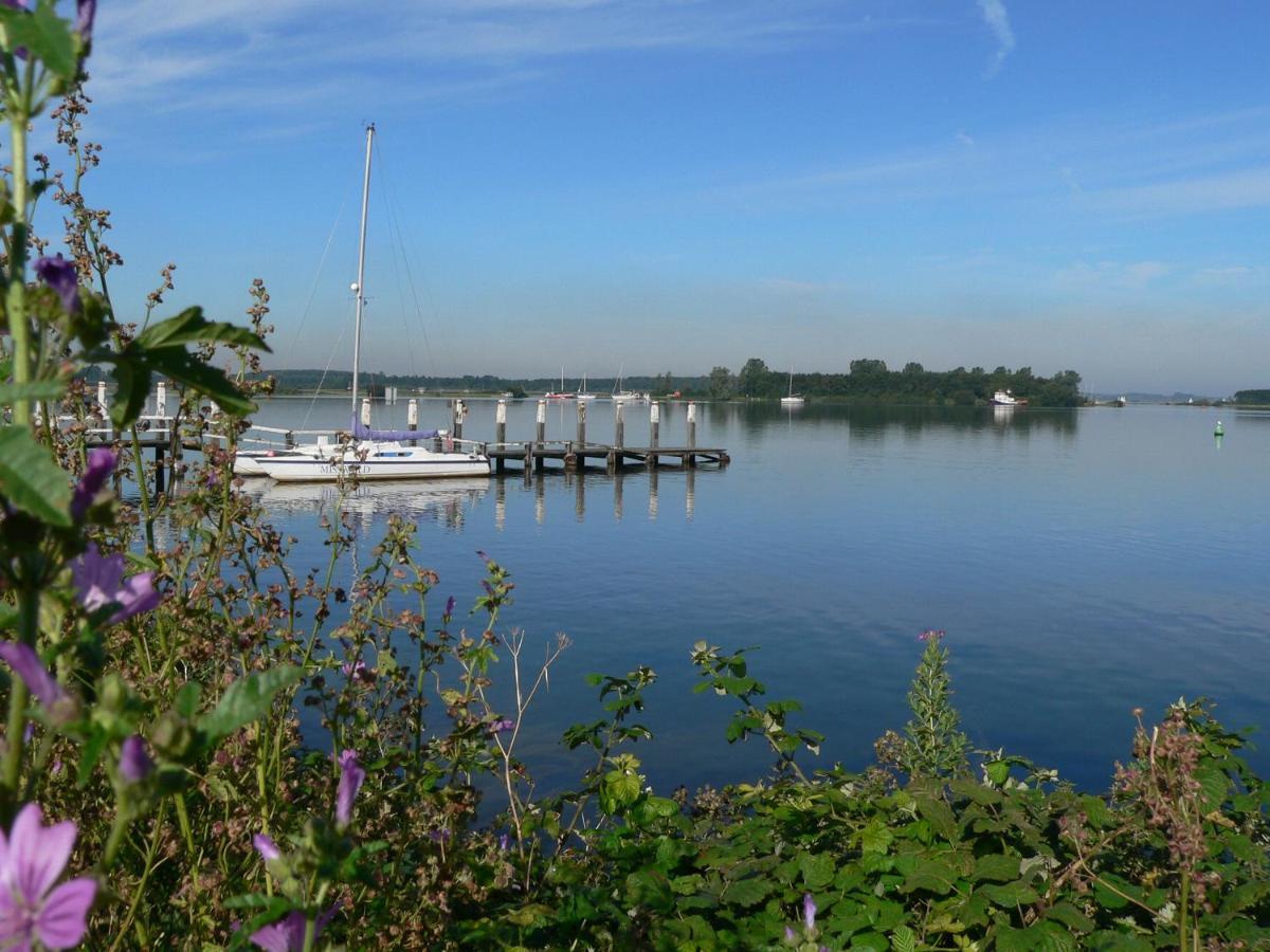 Vakantiehuis Noord-Beveland, Samen Met De Hond Colijnsplaat Exterior foto